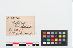 Etiketten zu Bronzebrillenfibel (NHMW-PRAE-023938)